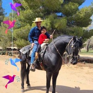 Meet your Posher, Pedro